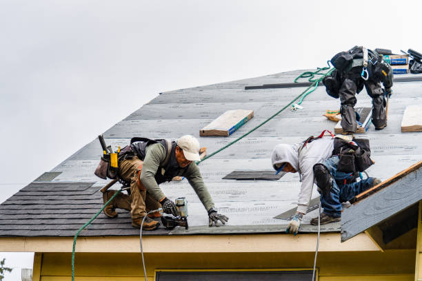 Professional Gutter Installation technician working in Columbia, IL